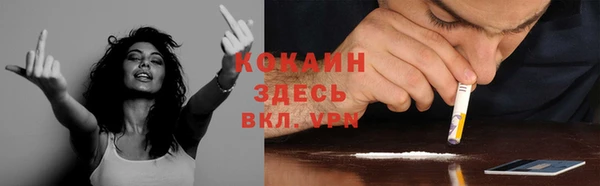 мяу мяу мука Карталы
