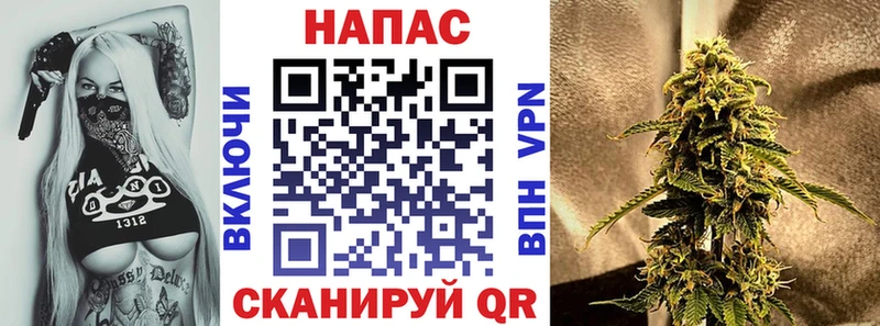 Купить закладки  Пушкино  Бошки марихуана семена 